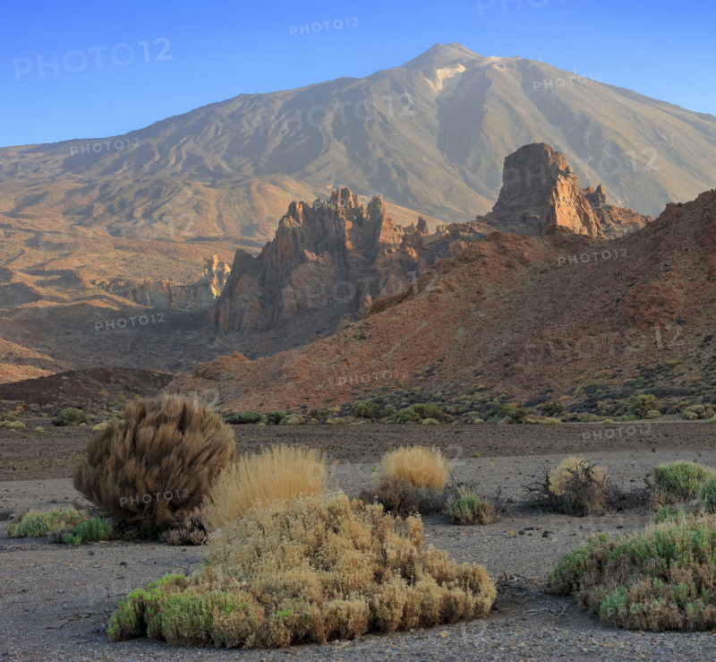 Volcan du Teide, île de Tenerife
