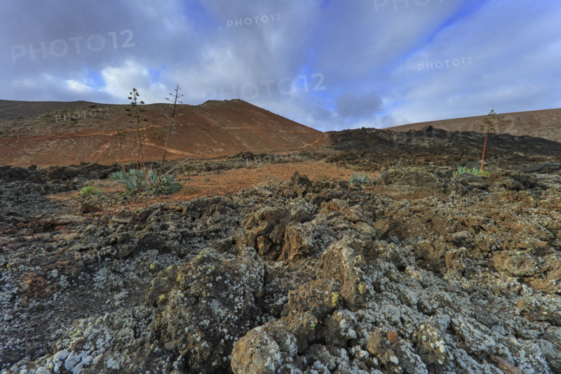 Humanizados Volcano, Lanzarote