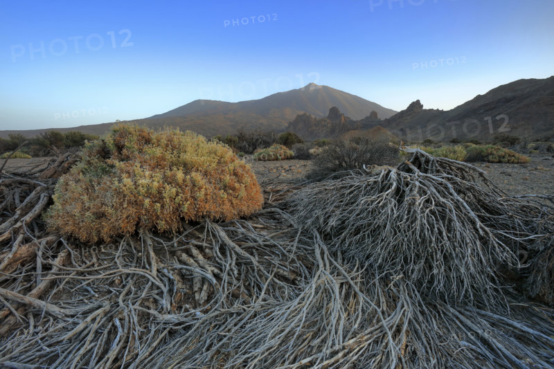 Volcan du Teide, île de Tenerife