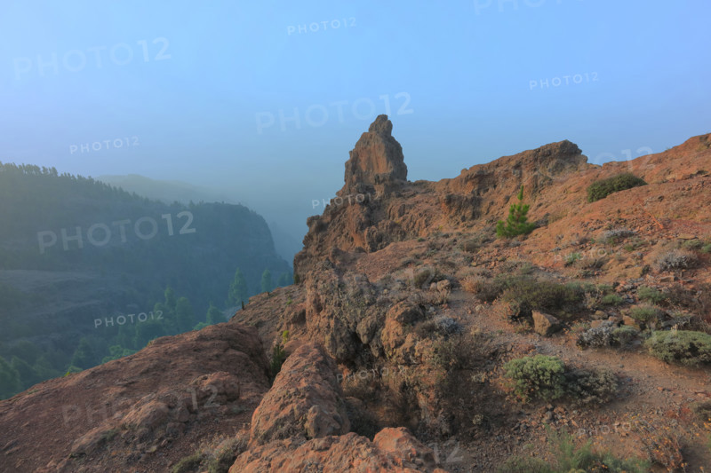 Pic de Los Pozo de las Nieves, île las Gran Canaria