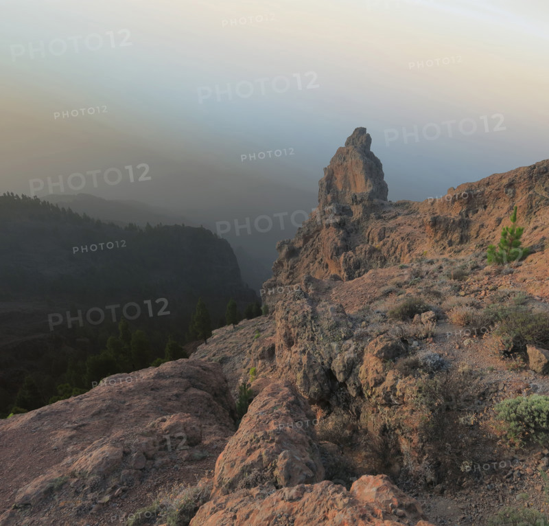 Pic de Los Pozo de las Nieves, île las Gran Canaria