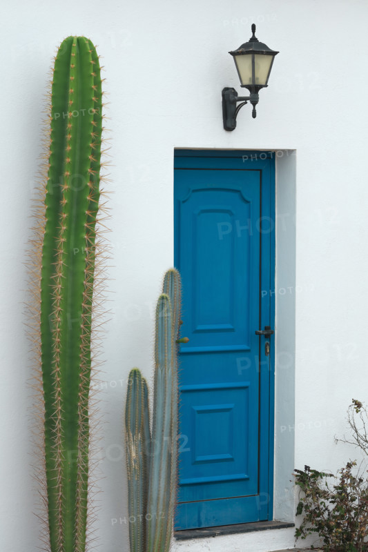 Portes colorées et fleuries sur île de Lanzarote