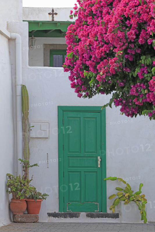 Portes colorées et fleuries sur île de Lanzarote