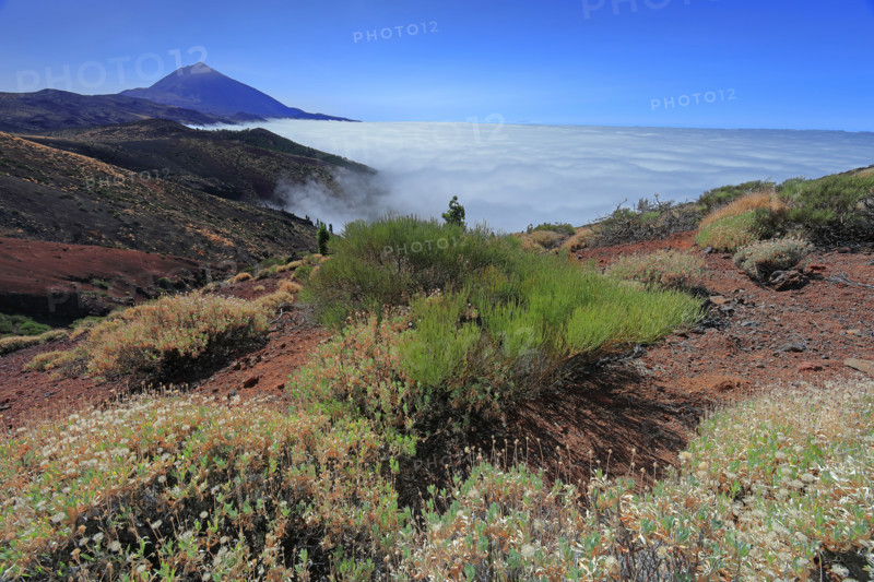 Volcan du Teide, île de Tenerife