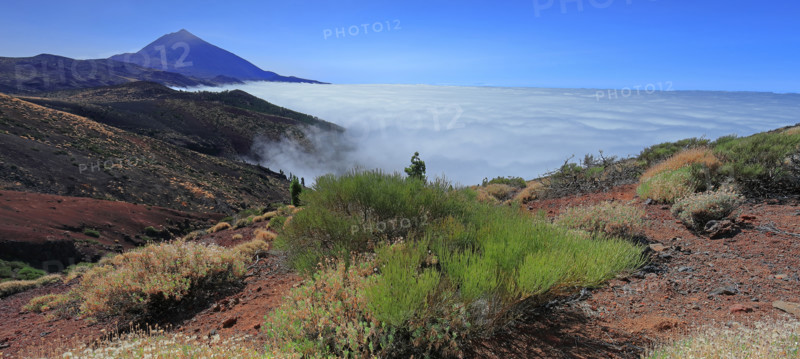 Volcan du Teide, île de Tenerife