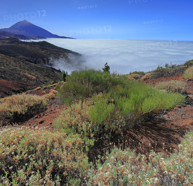 Teide volcano, Tenerife