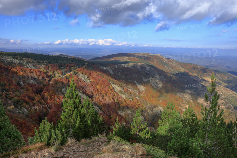 Autumnal landscape at the Rocher de l’Aigle in the Cévennes