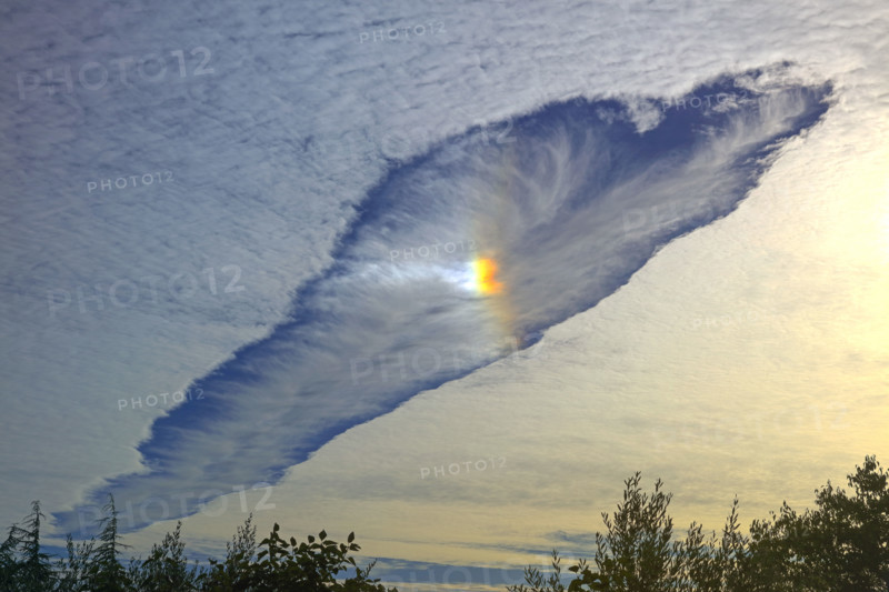 Cirrocumulus clouds