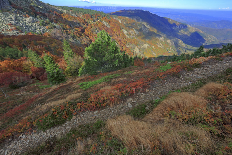 Autumnal landscape on the Rocher de l’Aigle in the Cévennes
