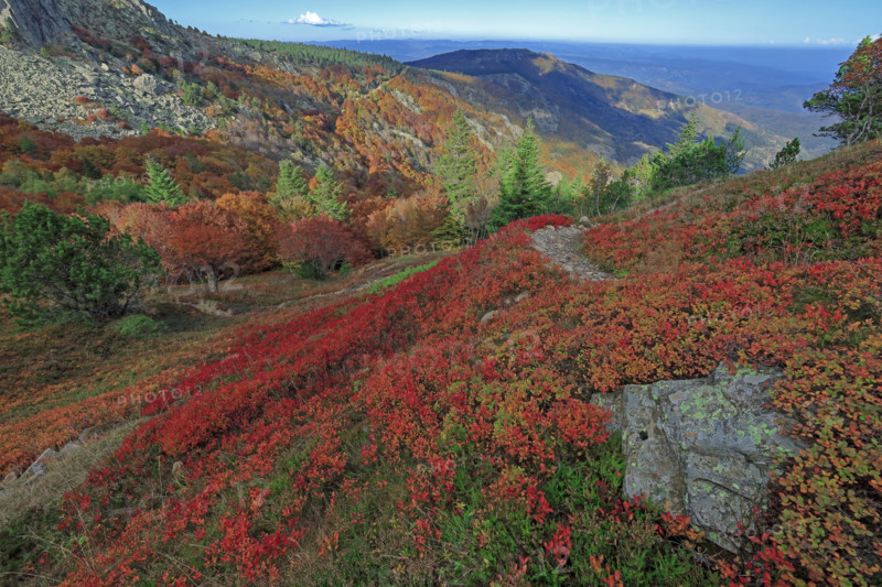 Autumnal landscape on the Rocher de l’Aigle in the Cévennes