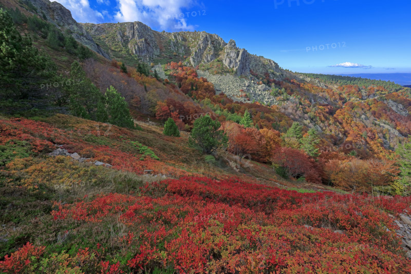Autumnal landscape on the Rocher de l’Aigle in the Cévennes