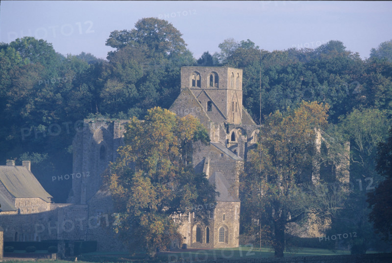 France, Normandie, sud Manche, abbaye d'hambye, vestiges, monument religieux, architecture gothique,
