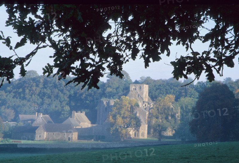 France, Normandie, sud Manche, abbaye d'hambye, vestiges, monument religieux, architecture gothique,