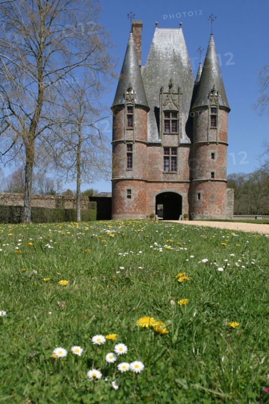 France, Normandie, orne, chateau de carrouges, chatelet, porterie, pelouse, pisselit, paquerette,