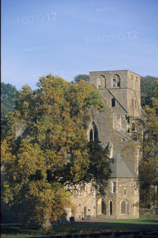 France, Normandie, sud Manche, abbaye d'hambye, vestiges, monument religieux, architecture gothique,