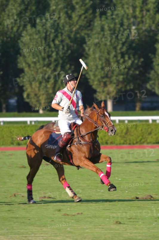 France, Basse Normandie, calvados, cote fleurie, deauville, polo, sport cheval, competition barriere golden, polo cup, hippodrome,