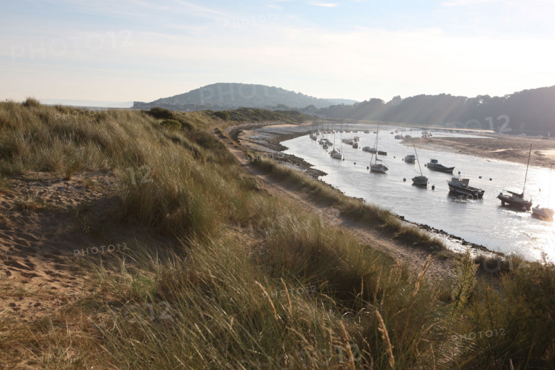France, Basse Normandie, calvados, cabourg, plage, sable, massif de dunes entre la plage et port guillaume, port de plaisance, maree basse,