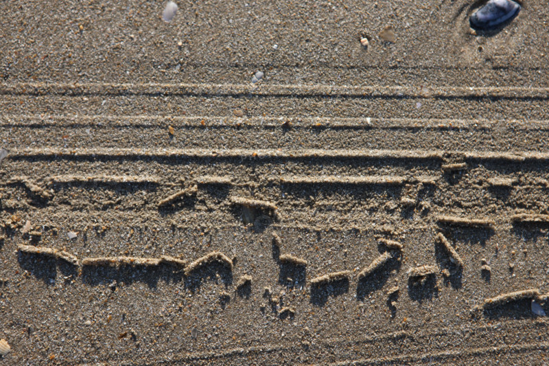 France, Basse Normandie, calvados, cabourg, plage, sable, traces de roues de char a voile dan sle sable,