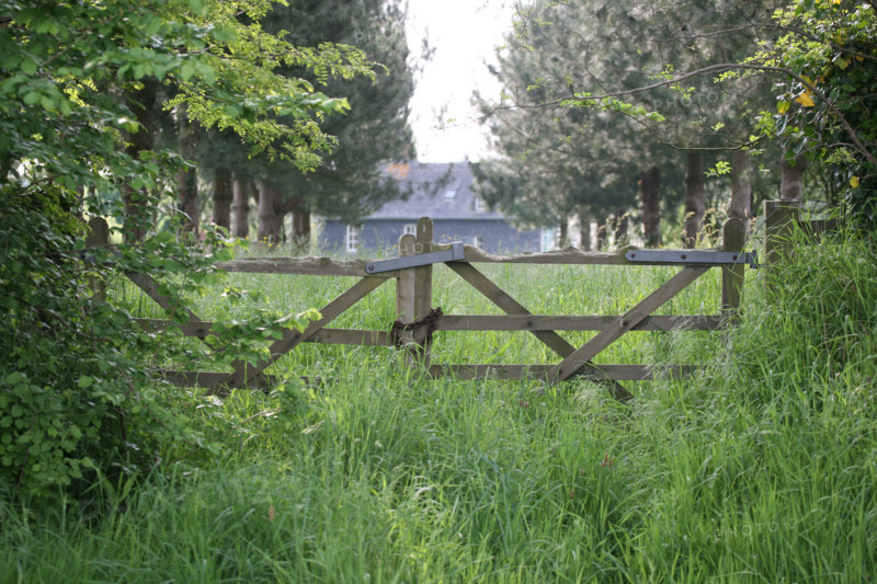 France, Basse Normandie, calvados, pays d'auge, barriere et maison, chemin pris par les herbes, entree de ferme,