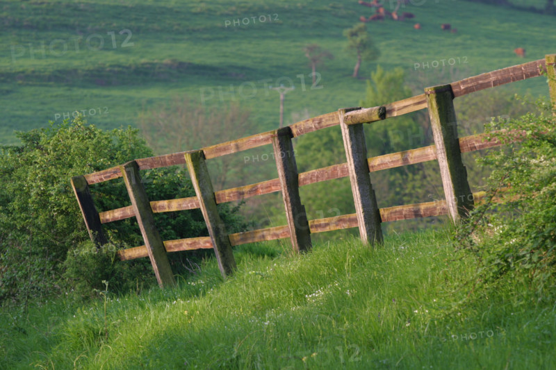 France, pays d'auge