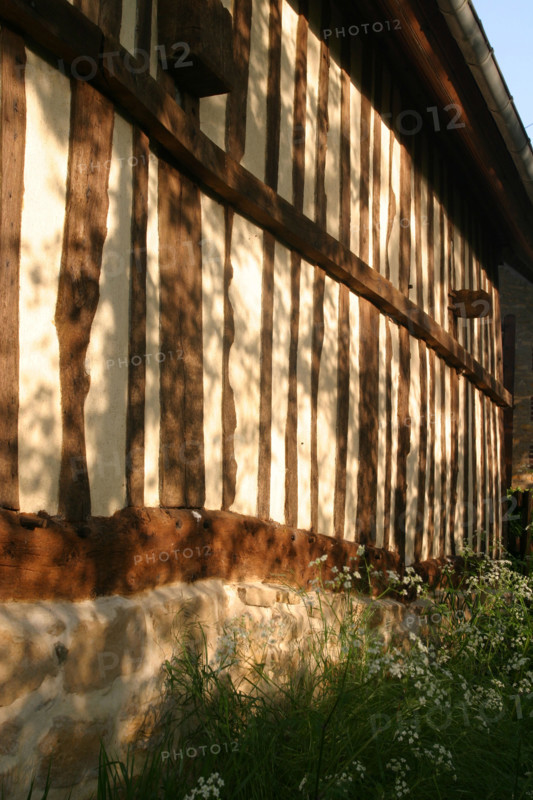 France, pays d'auge