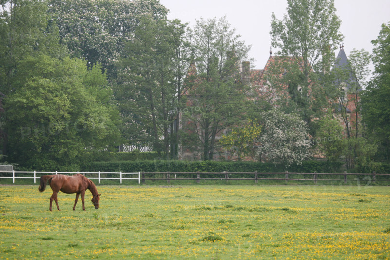 France, pays d'auge