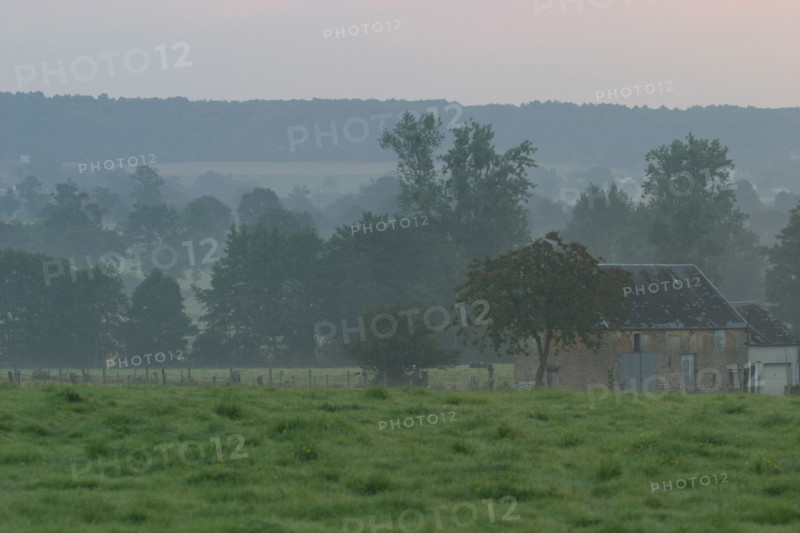 France, Basse Normandie, Calvados, bocage, paysage rural, environs du beny bocage et beauchamps