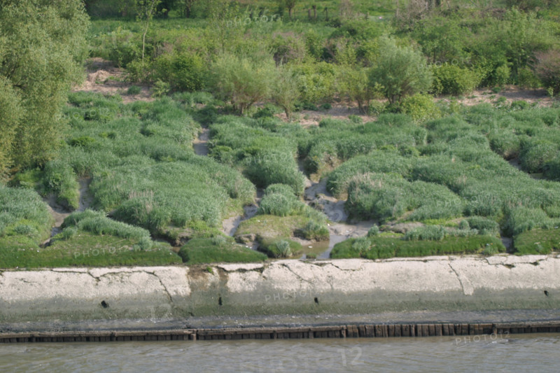 France, vallee de la seine