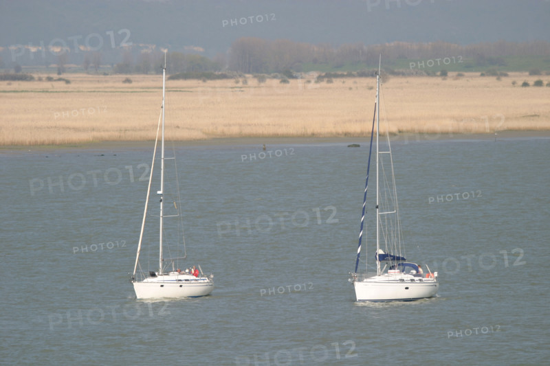 France, Haute Normandie, eure, vallee de la Seine, berges, environnement, roselieres en bord de Seine, voiliers, plaisance, estuaire