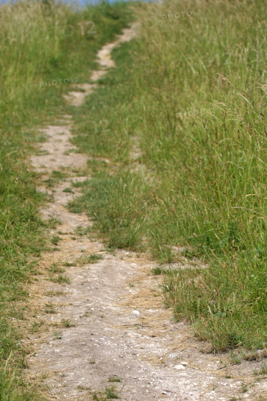 France, dirt road