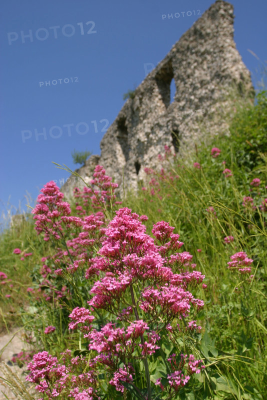 France, valley