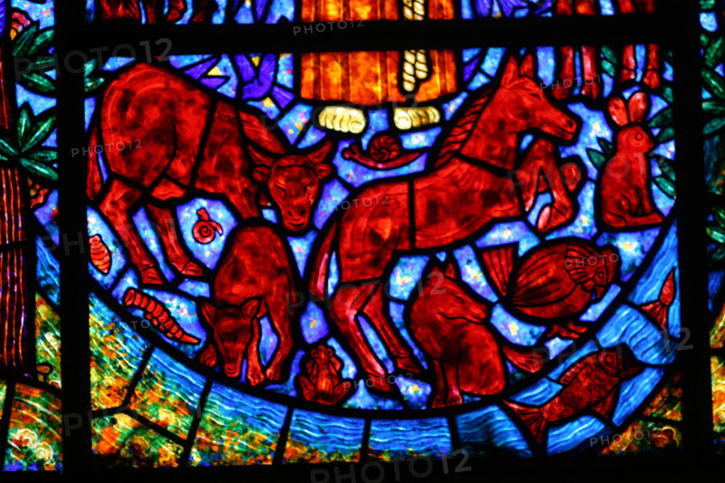 France, Haute Normandie, eure, beuzeville, eglise, vitraux de F Decorchemont, art religieux