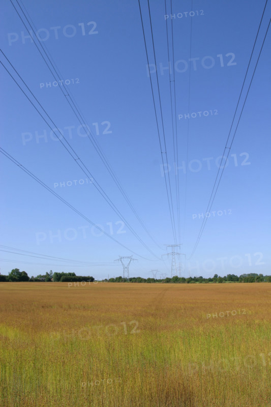 France, Haute Normandie, eure, agriculture, arrachage du lin pres de Lieurey, pylones et fils electriques, environnement, liniculture, tiges au sol,