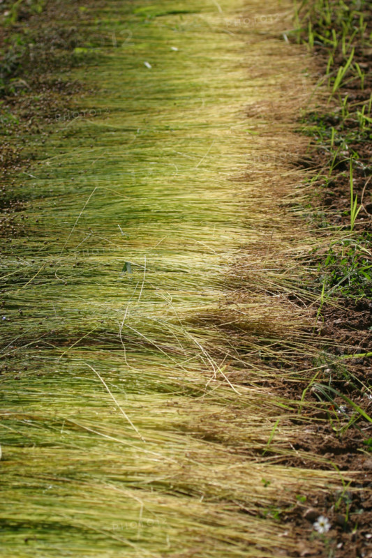 France, agriculture