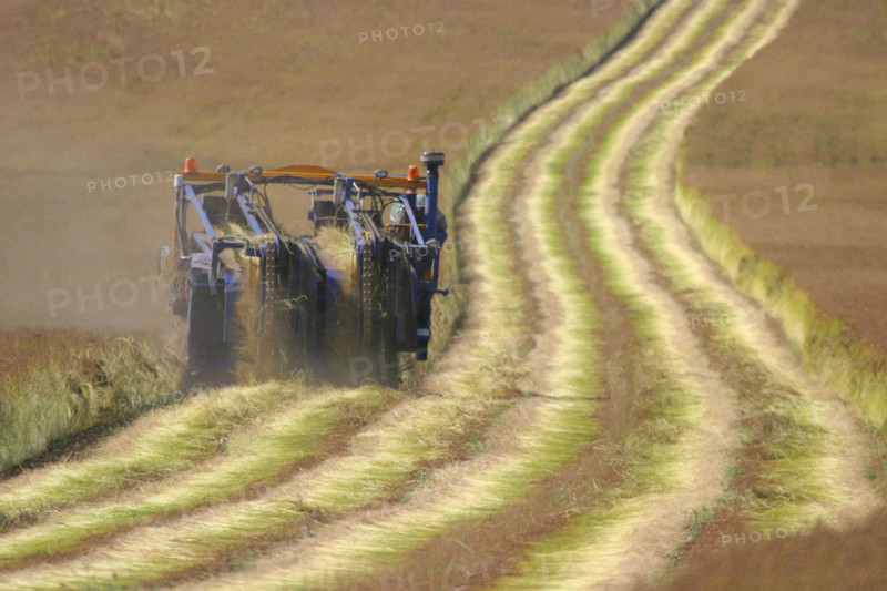 France, agriculture