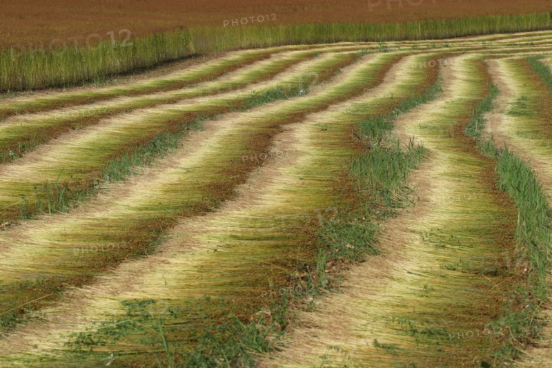 France, agriculture