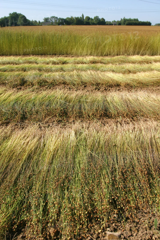 France, agriculture