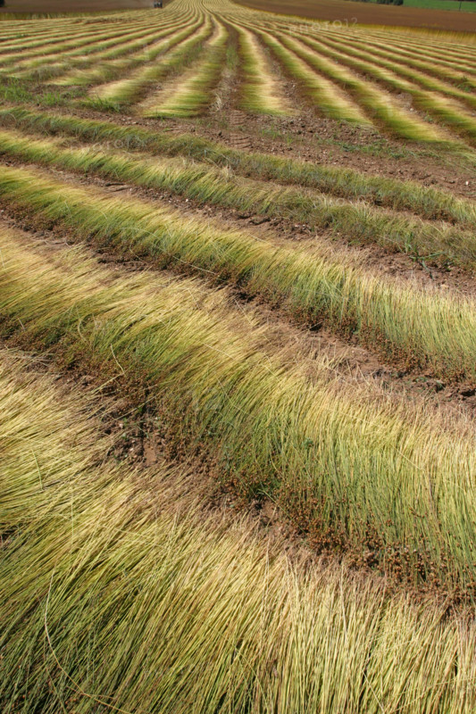 France, agriculture