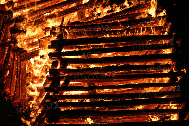 France, la haye de routot