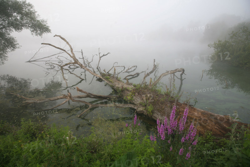 France, artificial lake