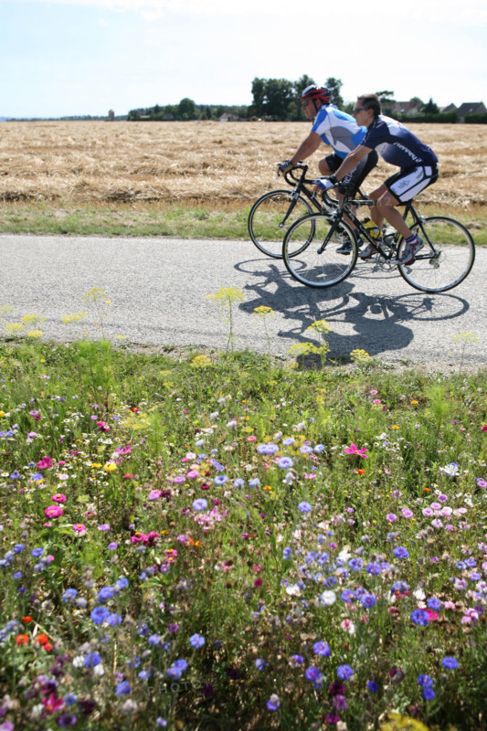 France, Normandie, eure, pays d'evreux, gauciel, cyclistes, route, bandes fleuries ,