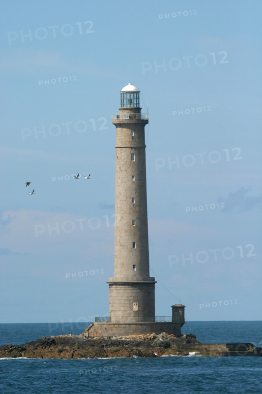 France, Basse Normandie, Manche, Cotentin, cap de la hague, goury, phare de goury, raz blanchard, oiseaux marins, fous de bassan,