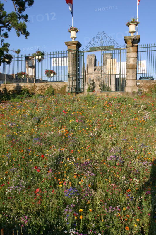 France, avranches