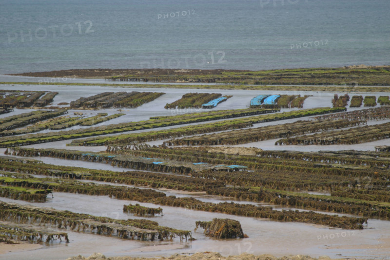 France, blainville sur mer