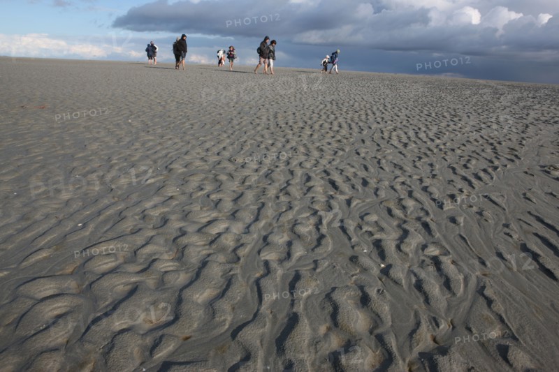 France, Normandie, Manche, baie du Mont-Saint-Michel, traversee des greves, maree basse, ciel d'orage, randonnee, guide des chemins de la baie, sable onde,