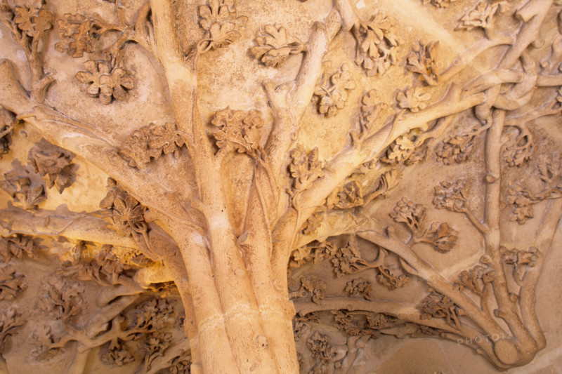 France, Paris 2e - tour jean sans peur (seul vestige de l'ancien hotel de bourgogne) rue etienne marcel - detail de l'ornementation de la voute de l'escalier, branches, feuilles de chene,