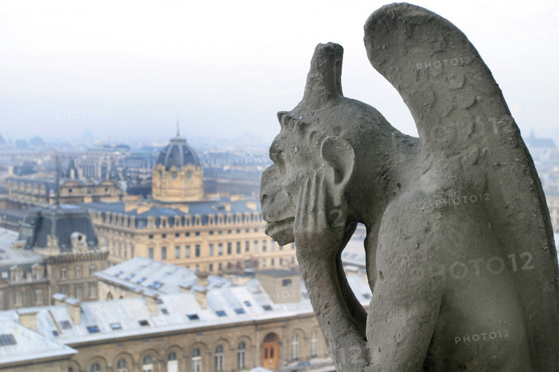 France, cathedral of notre dame de paris