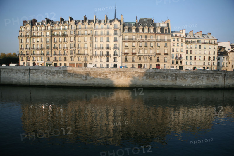 France, Paris 4e, ile de la cite, quai aux fleurs, la Seine, immeubles, arbre a la pointe de l'ile,