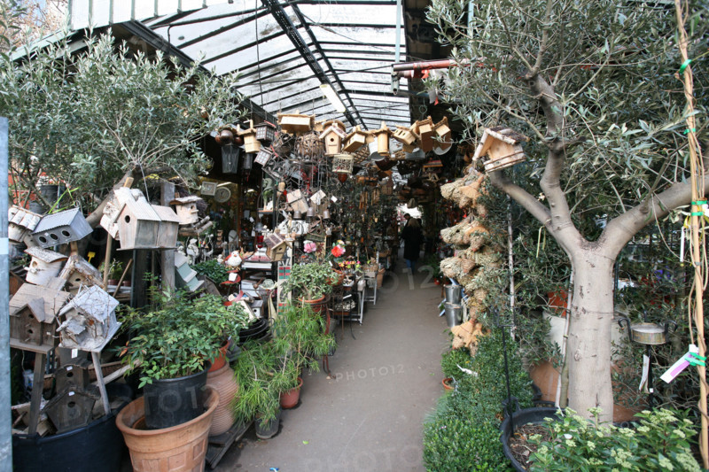 France, flower market