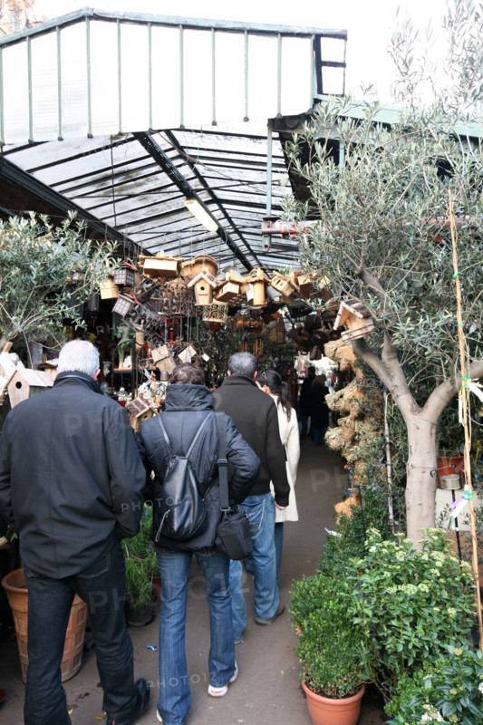 France, flower market